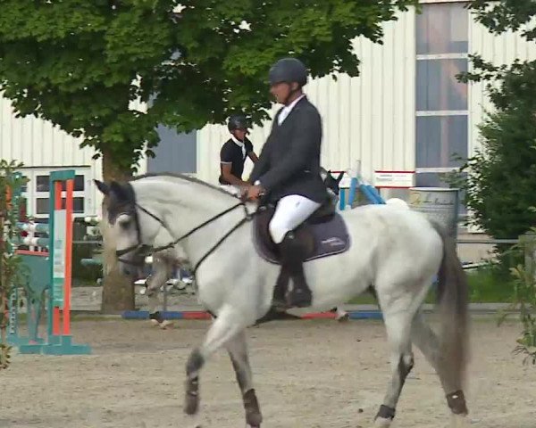 Reitturnier Rot am See – Musdorf 2021