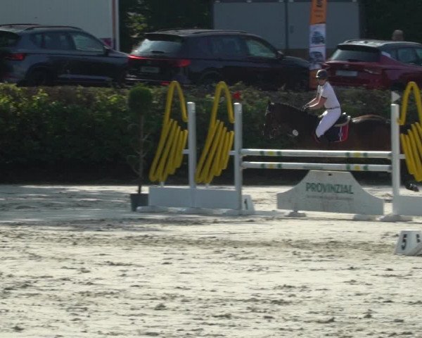 Reitturnier Vlotho-Exter 2021