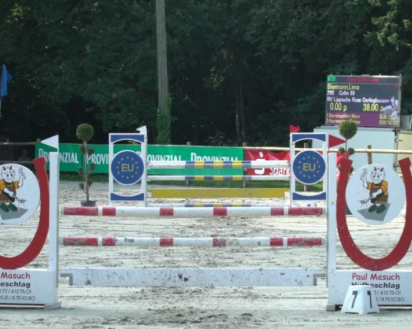 Reitturnier Vlotho-Exter 2021