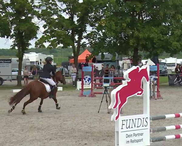 Reitturnier Rot am See – Musdorf 2021