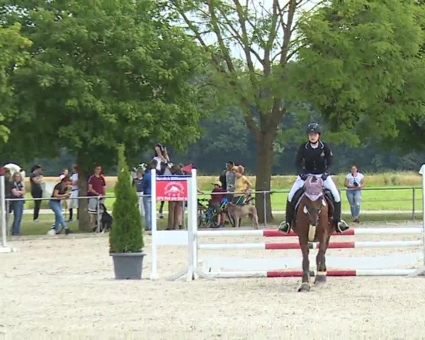 Reitturnier Rot am See – Musdorf 2021