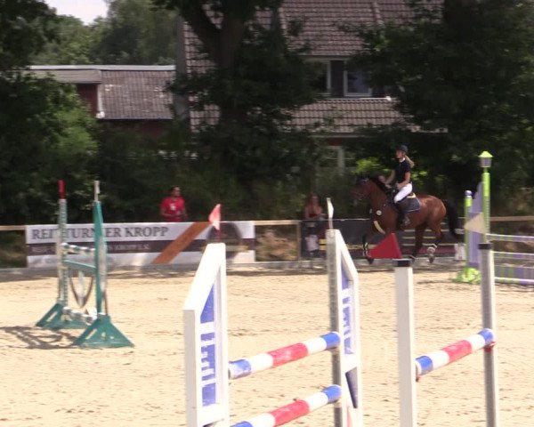 Reitturnier Kropp 2021