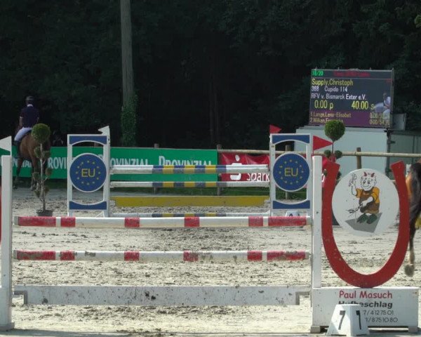 Reitturnier Vlotho-Exter 2021