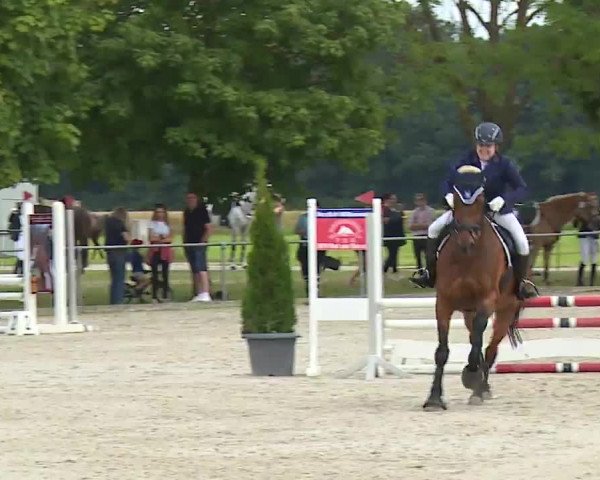 Reitturnier Rot am See – Musdorf 2021
