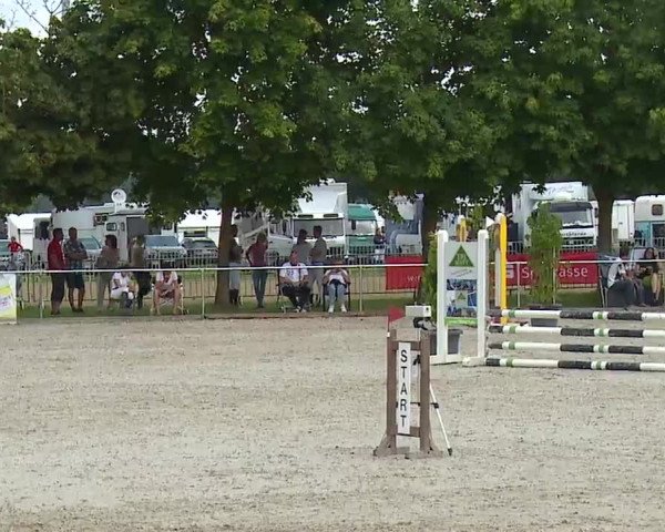 Reitturnier Rot am See – Musdorf 2021