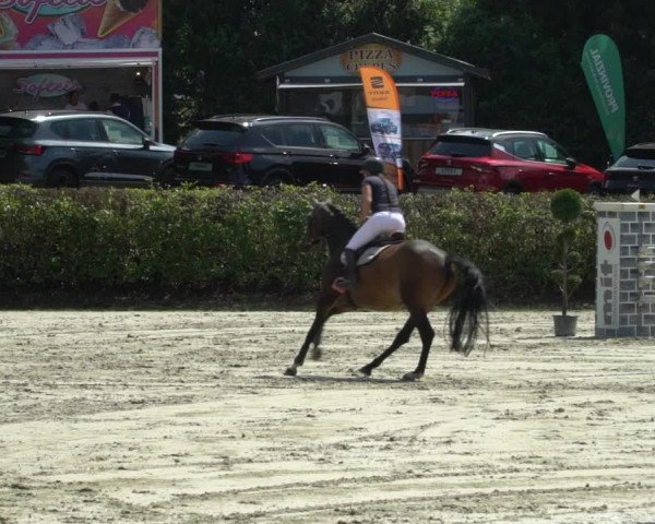 Reitturnier Vlotho-Exter 2021