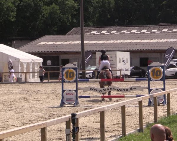 Reitturnier Kropp 2021