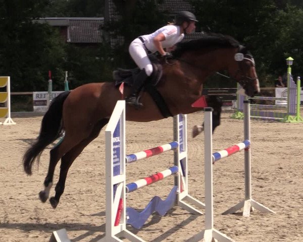 Reitturnier Kropp 2021