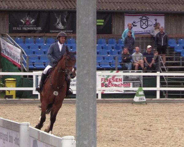 Reitturnier Ladelund 2021