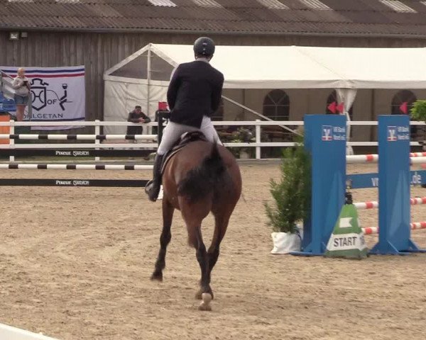 Reitturnier Ladelund 2021