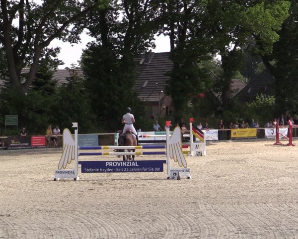 Reitturnier Kropp 2021