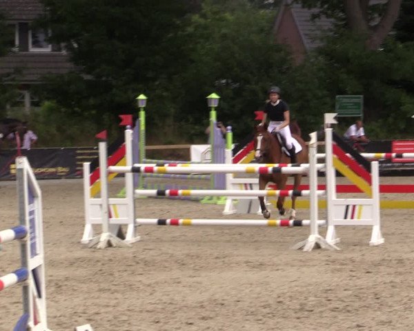 Reitturnier Kropp 2021