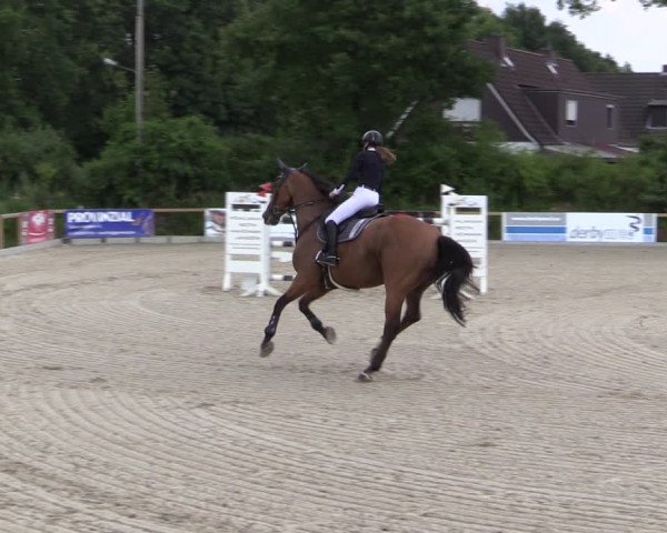 Reitturnier Kropp 2021