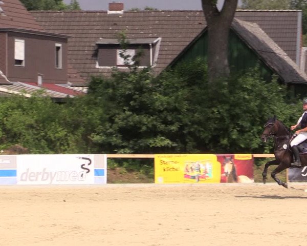 Reitturnier Kropp 2021