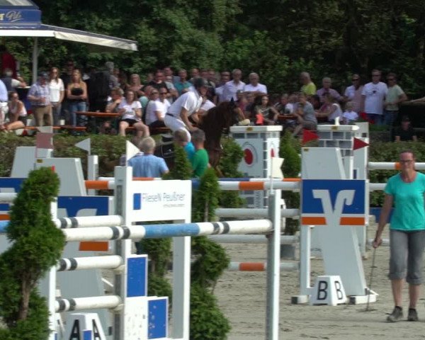 Reitturnier Vlotho-Exter 2021