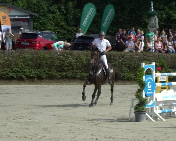 Reitturnier Vlotho-Exter 2021