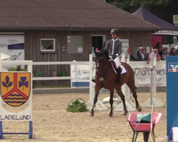 Reitturnier Ladelund 2021
