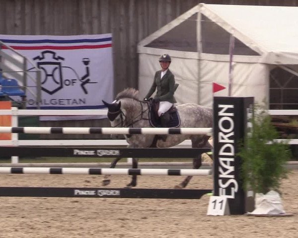 Reitturnier Ladelund 2021