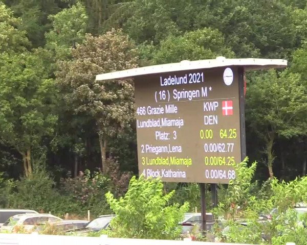 Reitturnier Ladelund 2021