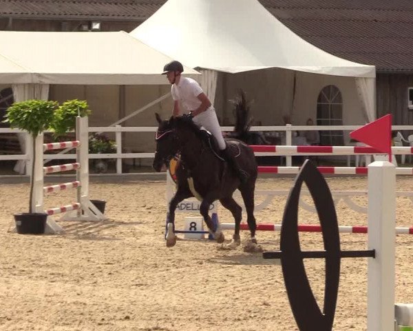 Reitturnier Ladelund 2021