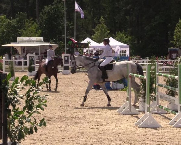Reitturnier Ladelund 2021