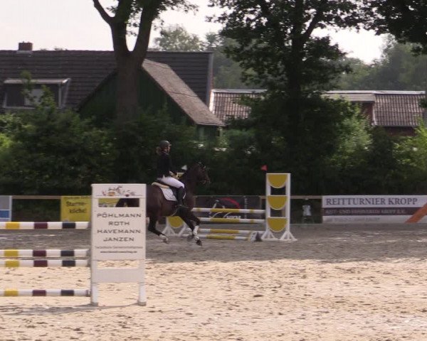 Reitturnier Kropp 2021