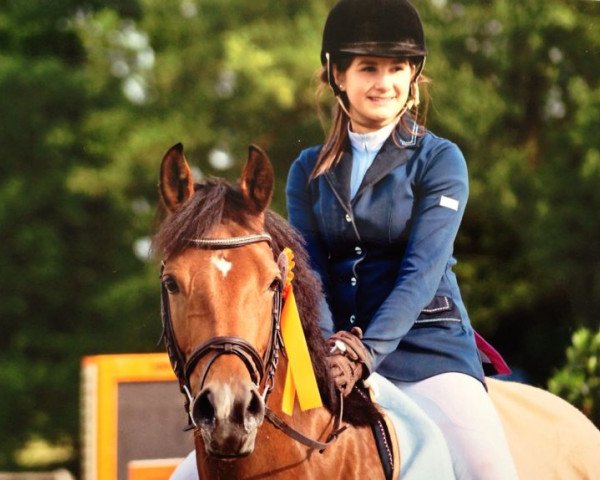 broodmare Chanel (German Riding Pony, 2005, from Charm of Nibelungen)