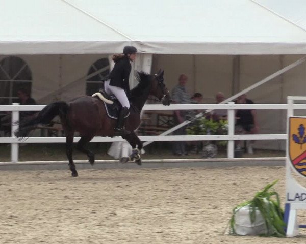 Reitturnier Ladelund 2021