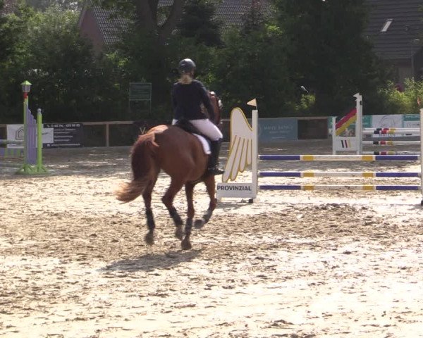 Reitturnier Kropp 2021