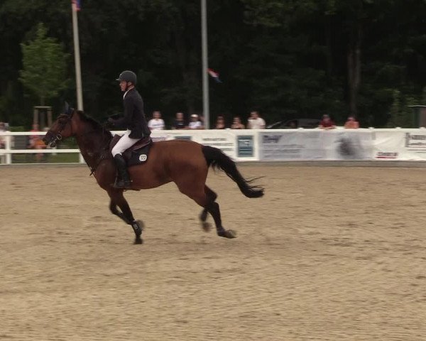 Reitturnier Ladelund 2021