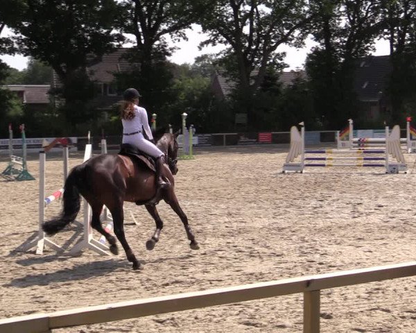 Reitturnier Kropp 2021