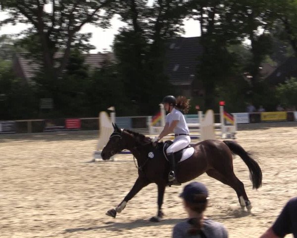 Reitturnier Kropp 2021