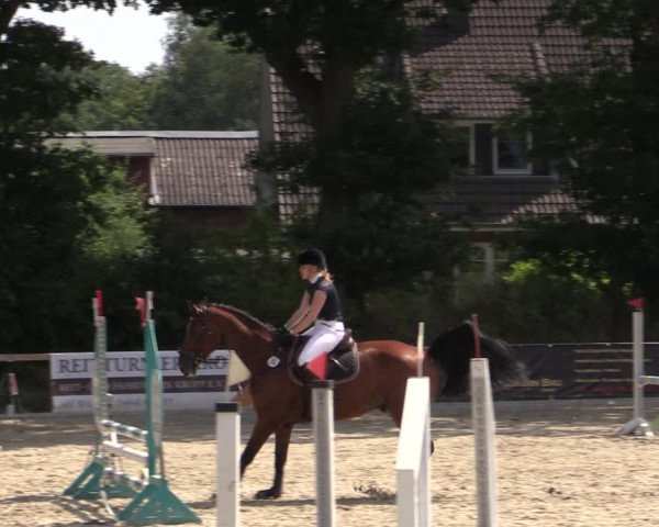 Reitturnier Kropp 2021