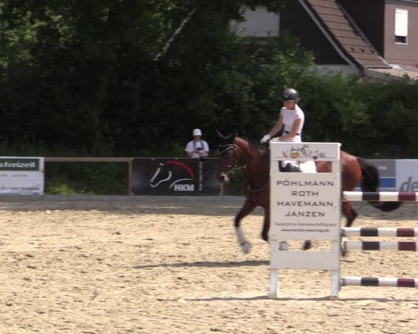 Reitturnier Kropp 2021