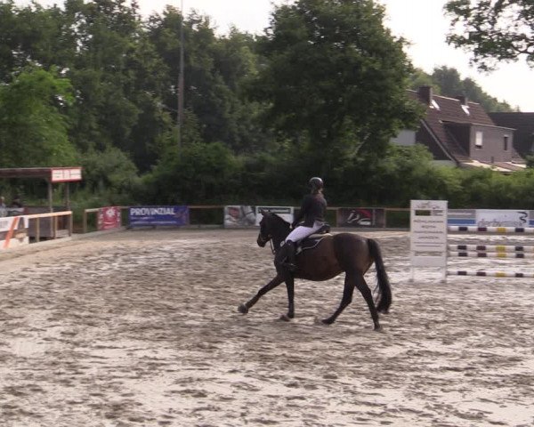 Reitturnier Kropp 2021