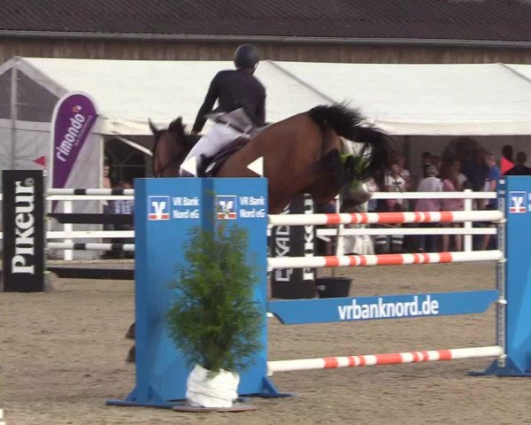 Reitturnier Ladelund 2021
