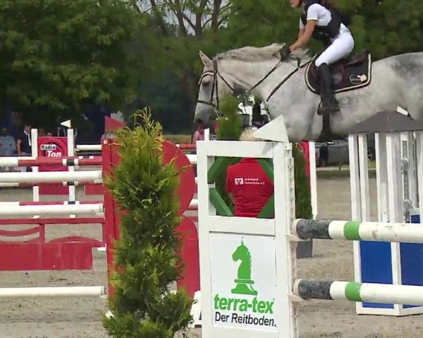 Reitturnier Rot am See – Musdorf 2021