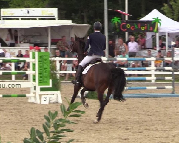 Reitturnier Ladelund 2021