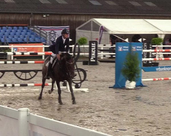 Reitturnier Ladelund 2021