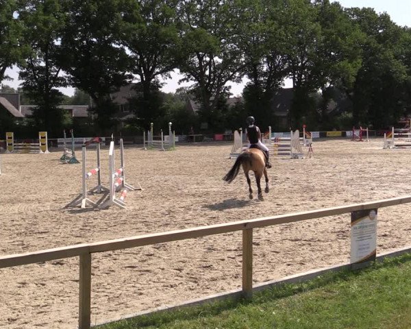 Reitturnier Kropp 2021