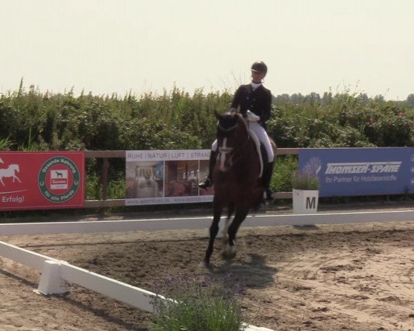 Reitturnier St. Peter Ording 2021
