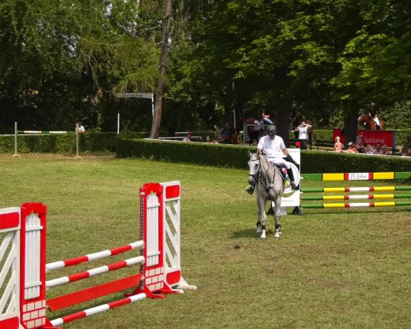 Reitturnier Westeregeln 2021