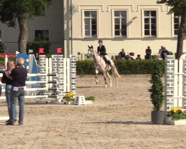 Reitturnier Neustadt/Dosse 2021