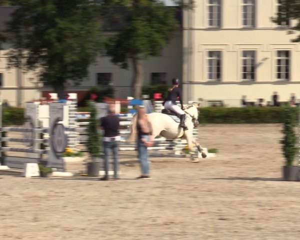 Reitturnier Neustadt/Dosse 2021