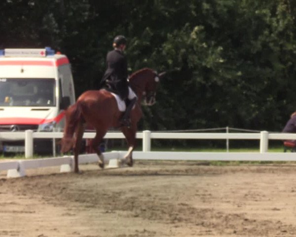 Reitturnier St. Peter Ording 2021