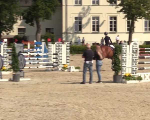 Reitturnier Neustadt/Dosse 2021