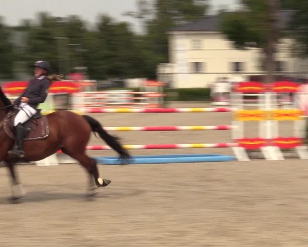 Reitturnier Neustadt/Dosse 2021
