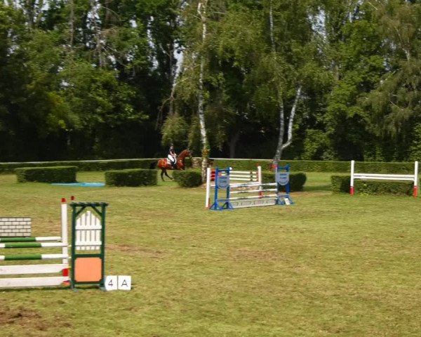 Reitturnier Westeregeln 2021