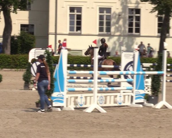 Reitturnier Neustadt/Dosse 2021