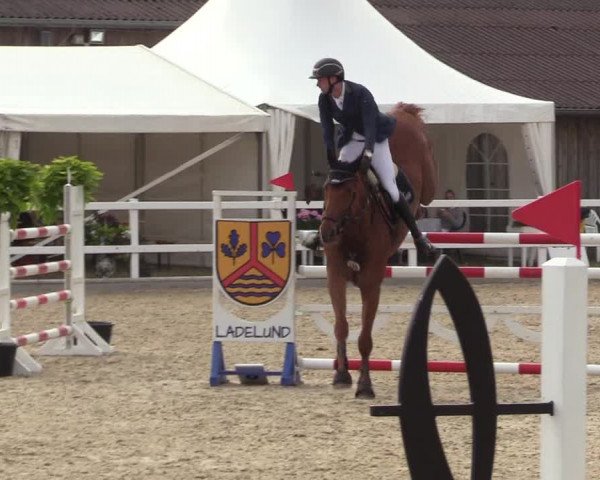 Reitturnier Ladelund 2021